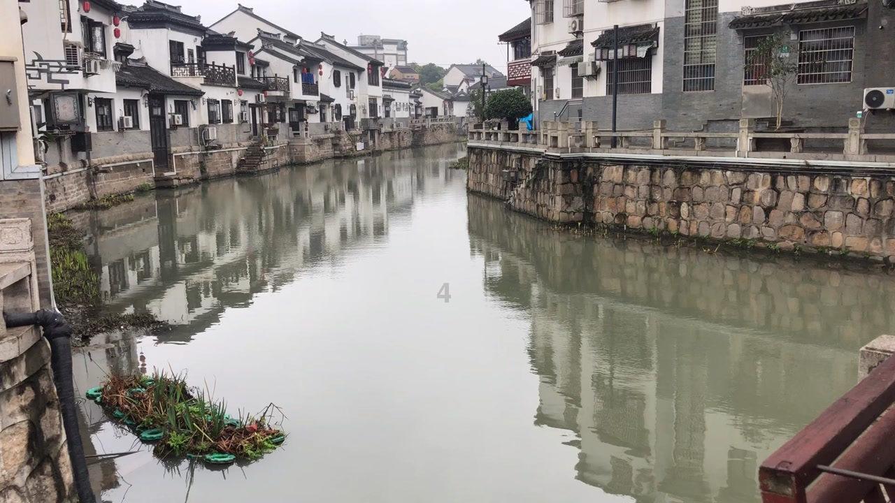 全民烧脑3去广告版
